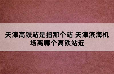 天津高铁站是指那个站 天津滨海机场离哪个高铁站近